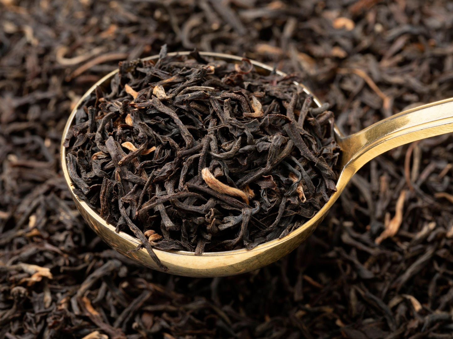 Tea Leaf Reading ,Psychic Reading, Tea Leaf Reading, Turkish Tea Reading, Fortune Teller, Fast Clairvoyant Prediction